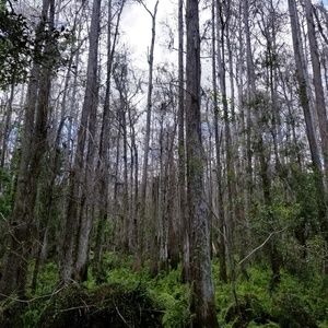 Meet your Posher, Elly